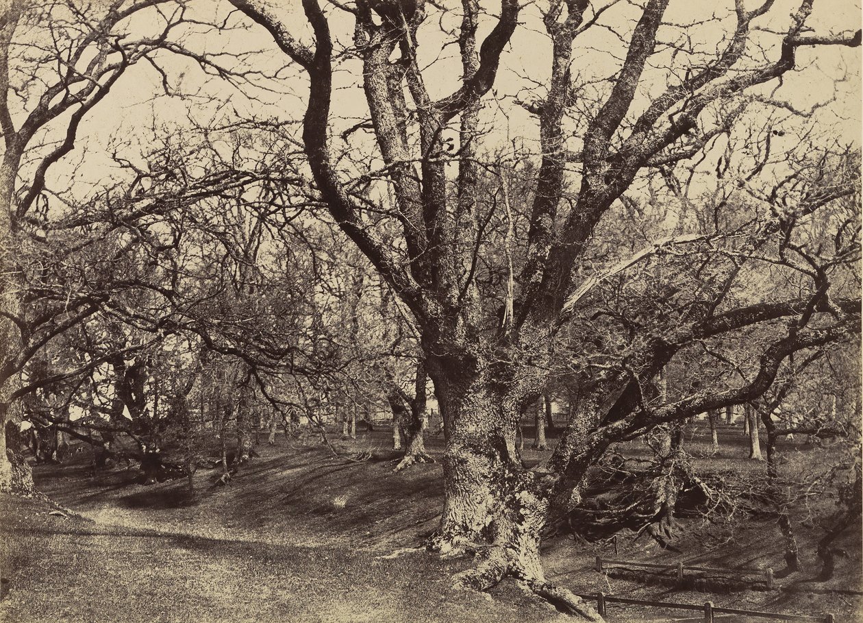 Pepperharrow Park, Surrey, 1852-54 de Benjamin Brecknell Turner