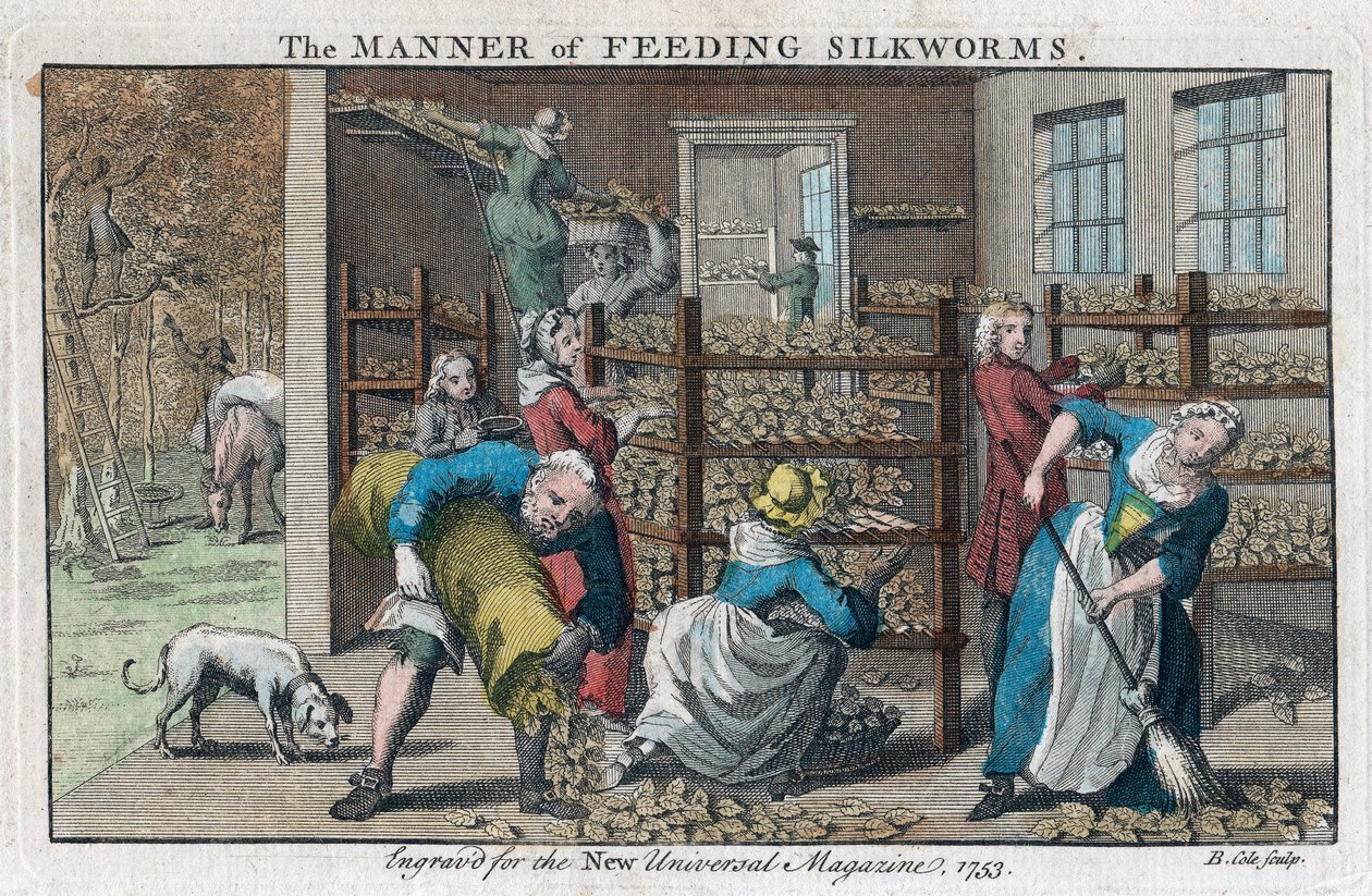 La manera de alimentar gusanos de seda, 1753 de Benjamin Cole