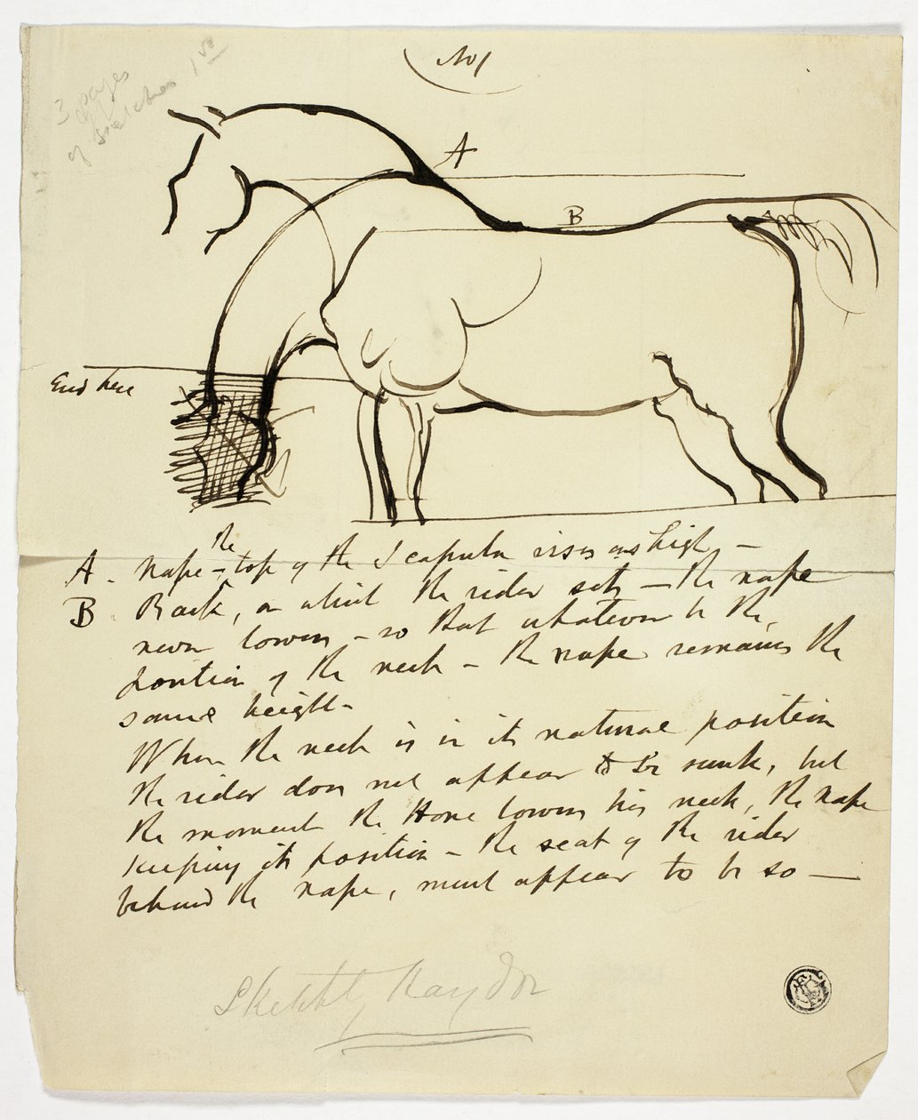 Boceto de caballo con anotaciones de Benjamin Robert Haydon