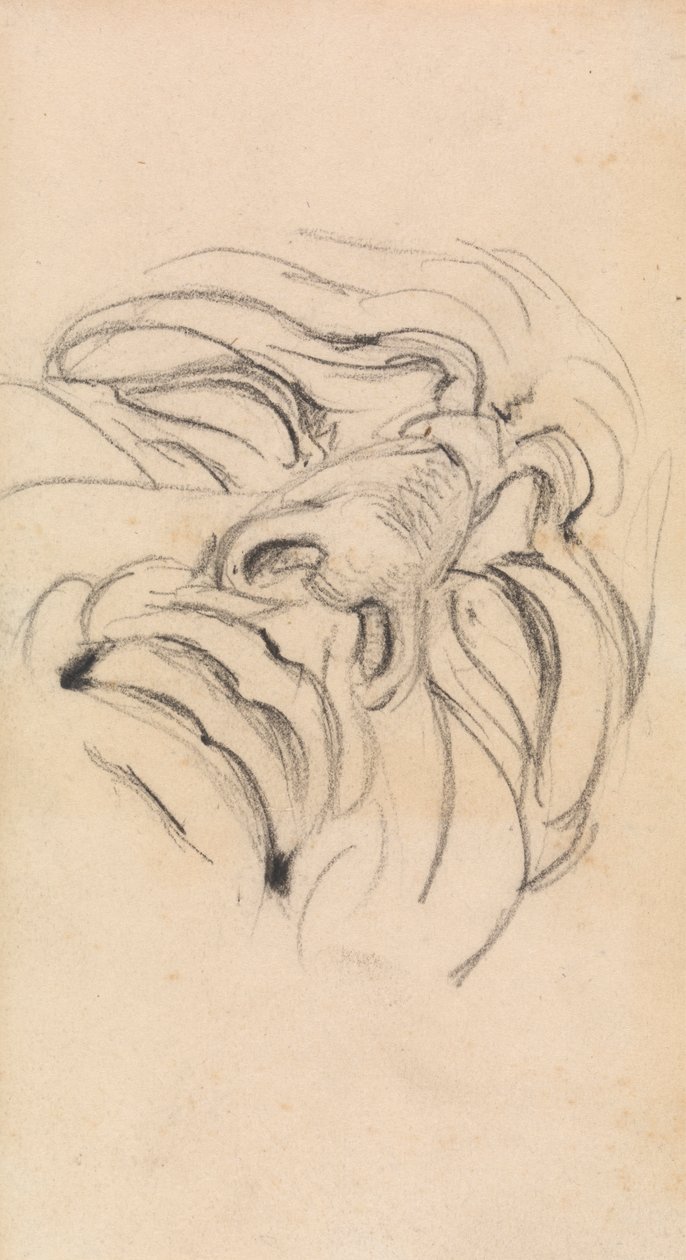Estudio del rostro expresivo de un hombre de Benjamin Robert Haydon