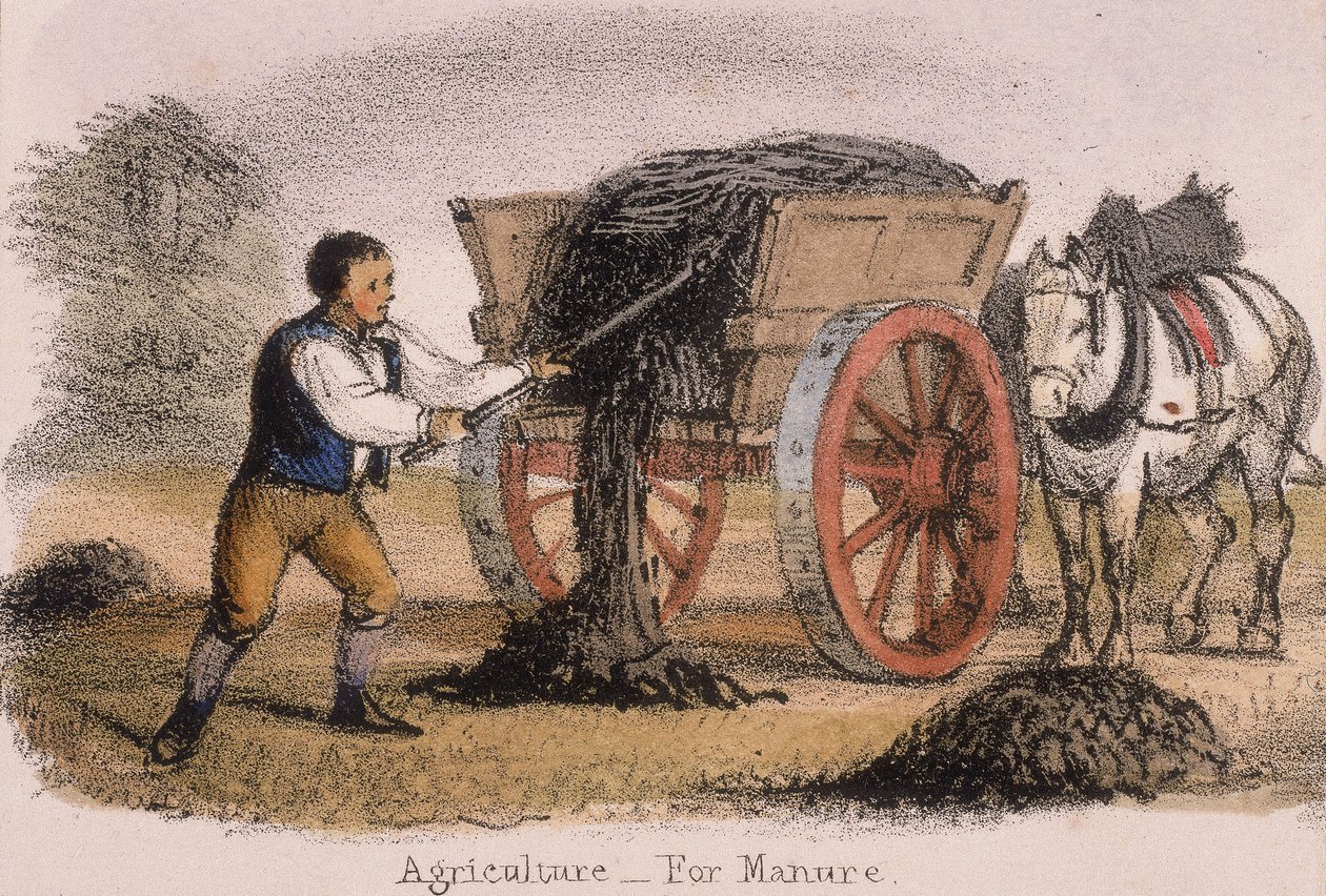 Agricultura, para abono, c1845 de Benjamin Waterhouse Hawkins
