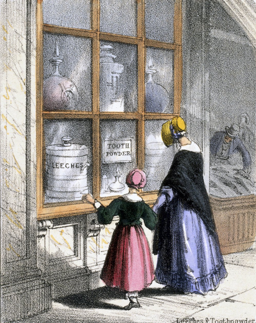 Sanguijuelas y polvo de dientes, de Crustáceos y reptiles en Ilustraciones gráficas de animales - Mostrando su utilidad para el hombre en su empleo durante la vida y usos después de la muerte, c.1845 de Benjamin Waterhouse Hawkins