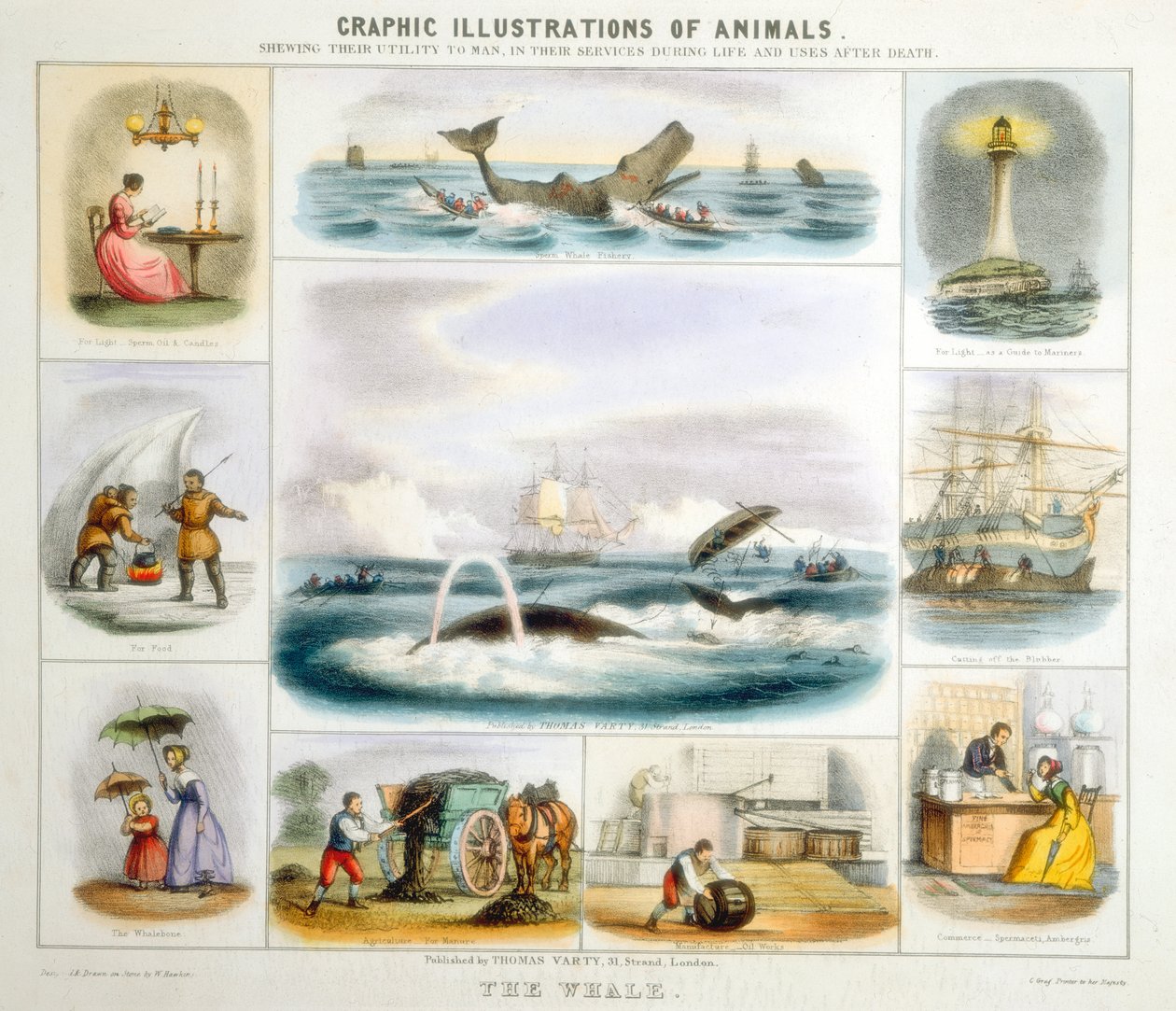 La ballena, c1850 de Benjamin Waterhouse Hawkins