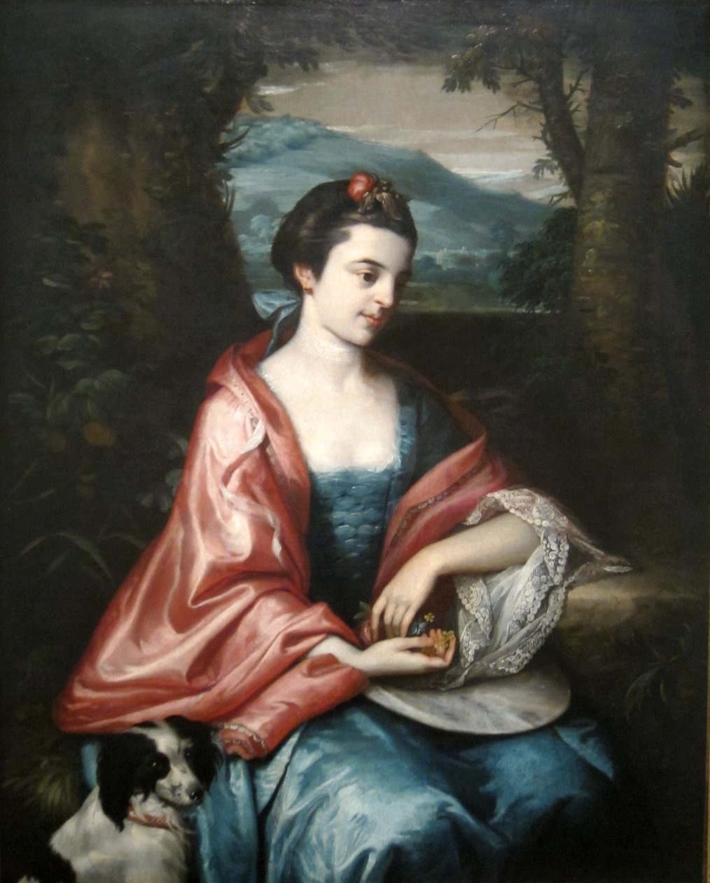 Ann Allen, más tarde Sra. de John Penn de Benjamin West