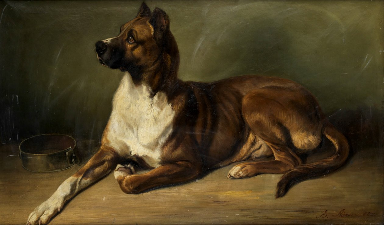 Benno Adam Retrato de un perro 1852 de Benno Adam