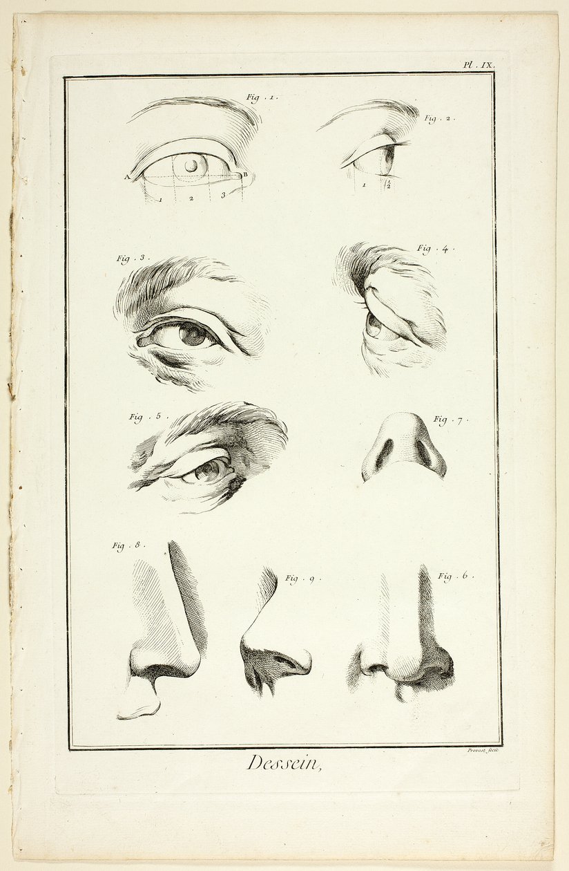 Diseño: Anatomía facial de la Encyclopédie de Benoit Louis Prevost