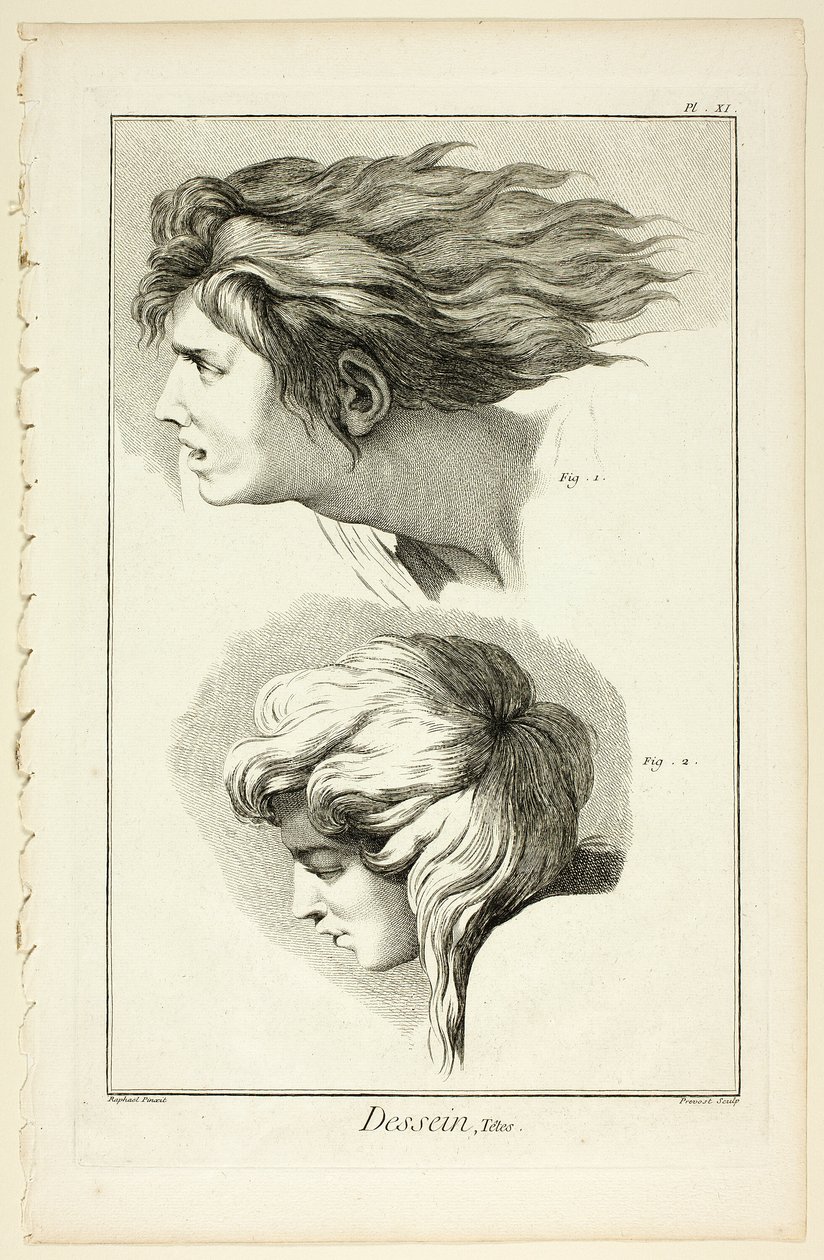Diseño: Cabezas, de Encyclopédie de Benoit Louis Prevost