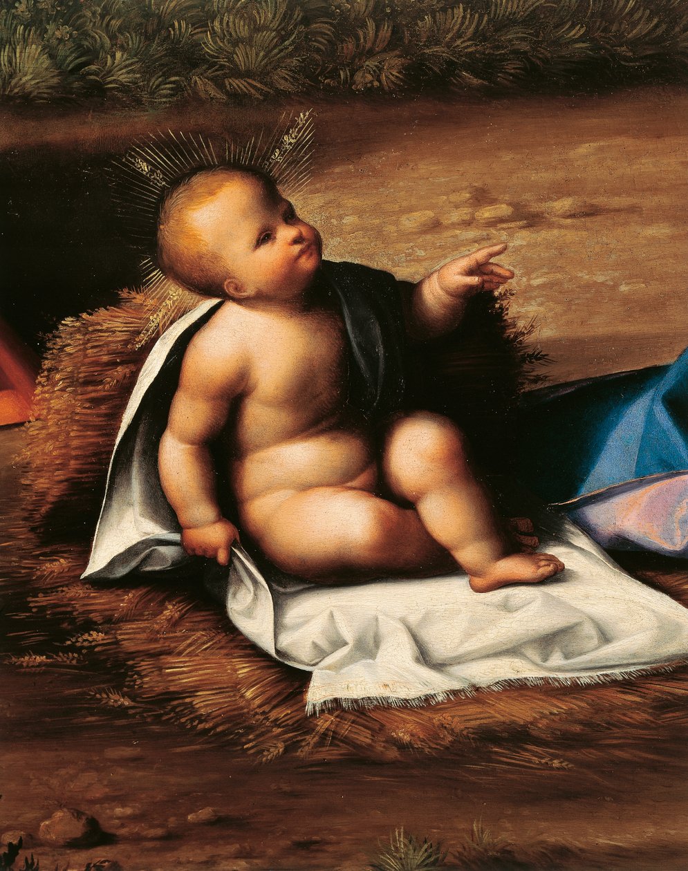 Niño Jesús (detalle) de Benvenuto Tisi da Garofalo