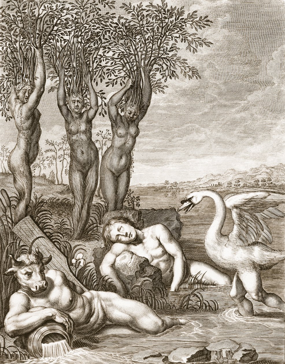 Cigno Transformado en Cisne y las Hermanas de Faetón en Álamos, 1731 de Bernard Picart