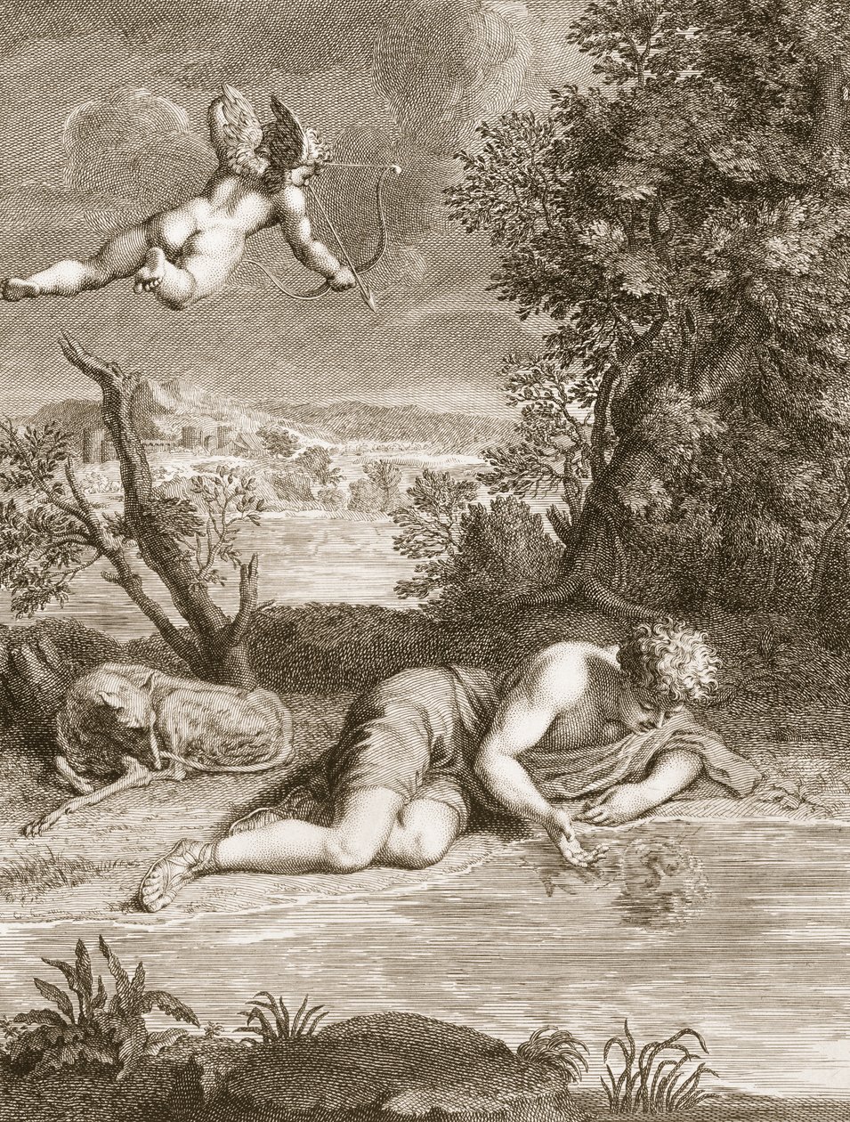 Narciso Transformado en Flor, 1730 de Bernard Picart