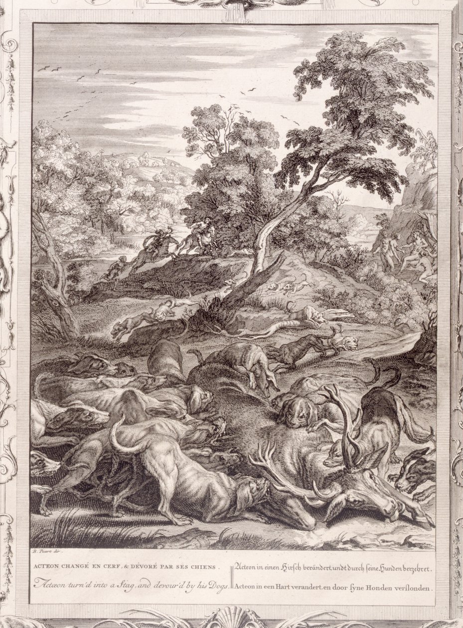 Acteón convertido en ciervo y devorado por sus perros, 1731 de Bernard Picart