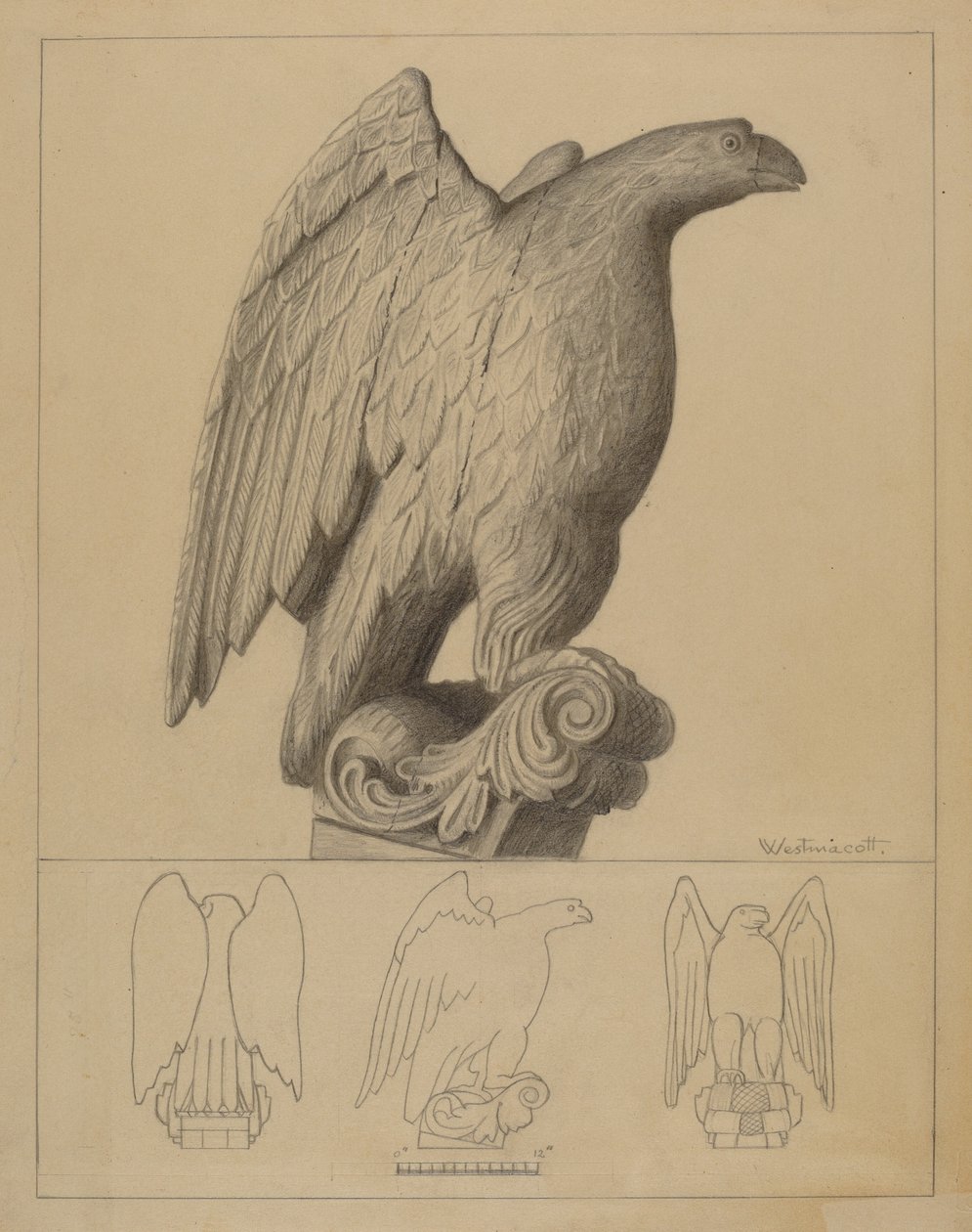 Águila de Bernard Westmacott