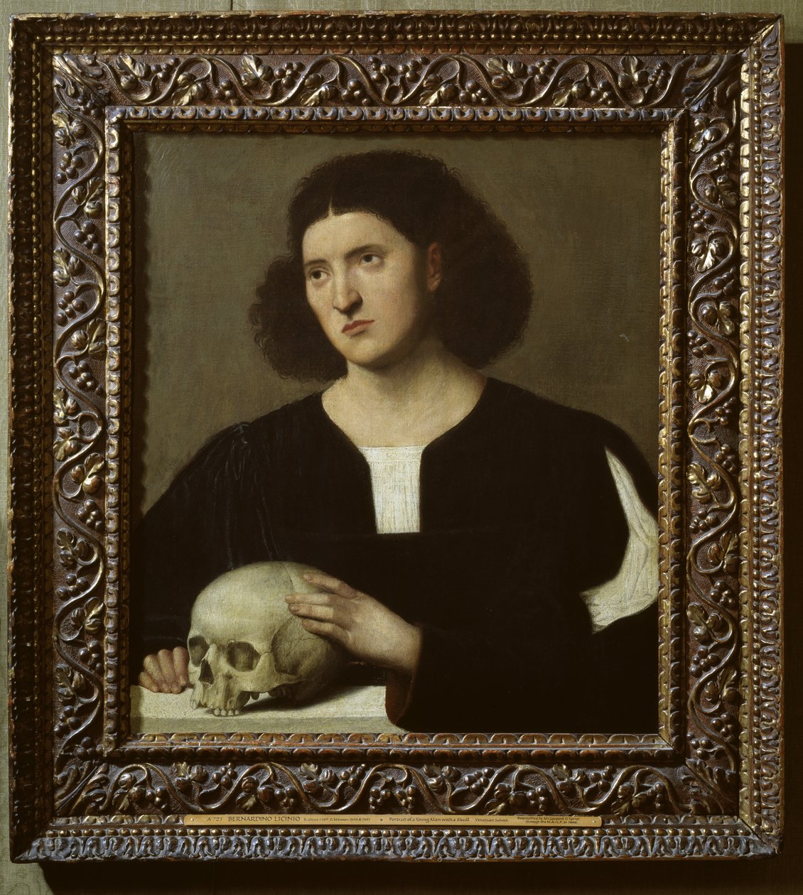 Retrato de un Joven con una Calavera, siglo XVII de Bernardino Licinio