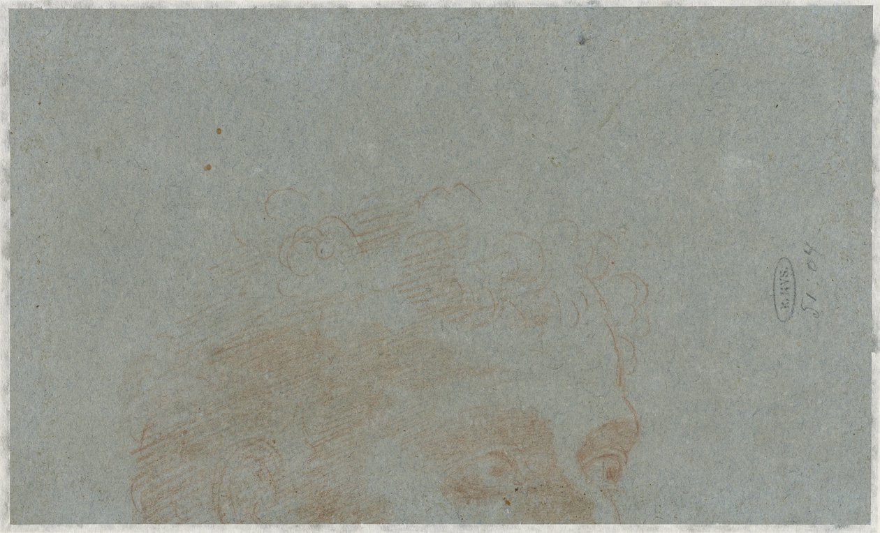 Parte de la cabeza de un hombre de Bernardino Lanino (possibly)