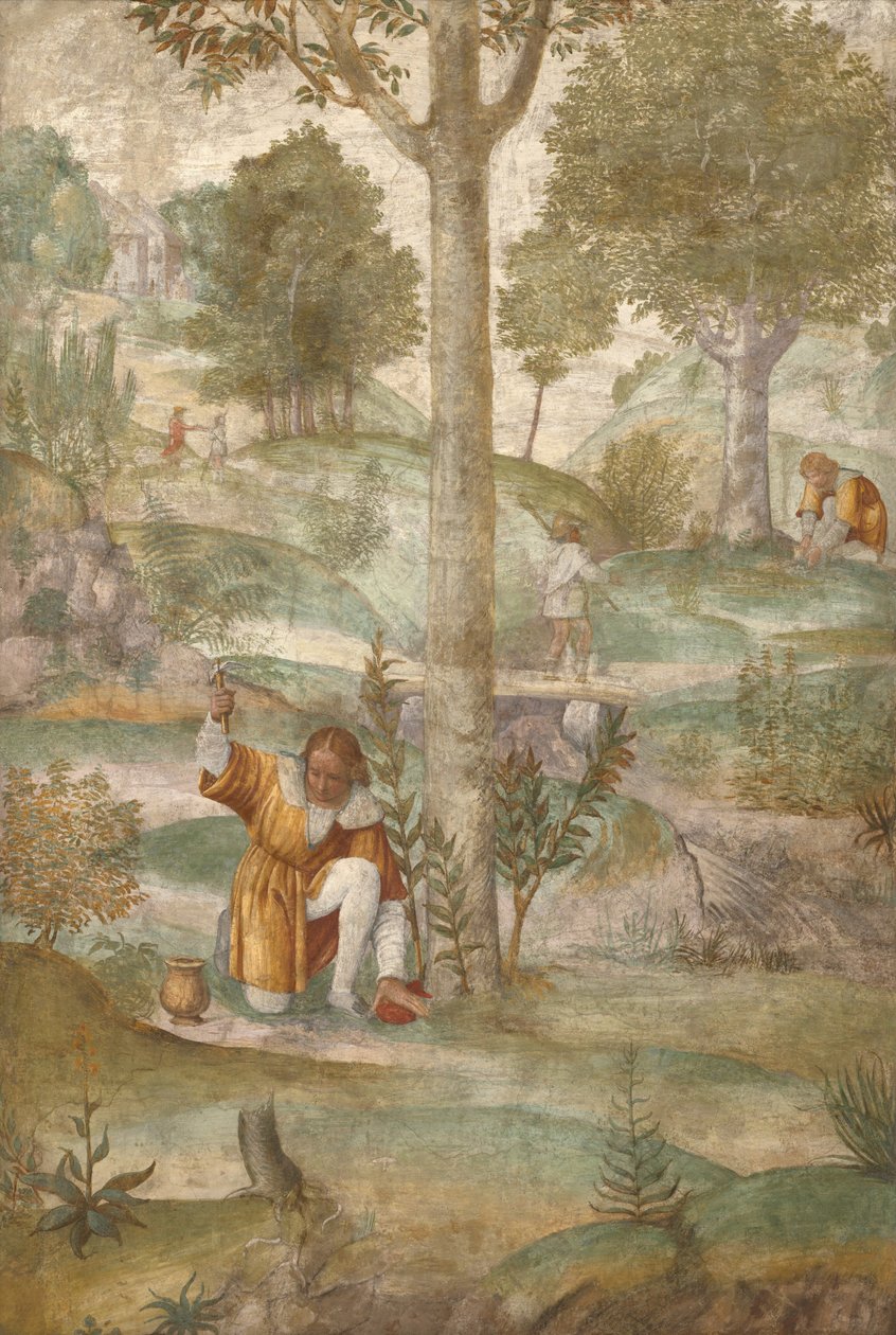 Céfalo ocultando las joyas de Bernardino Luini