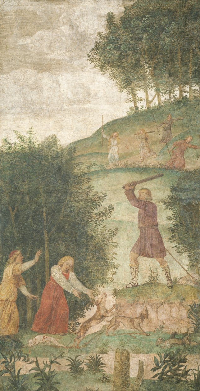 Céfalo Castigado en la Caza de Bernardino Luini