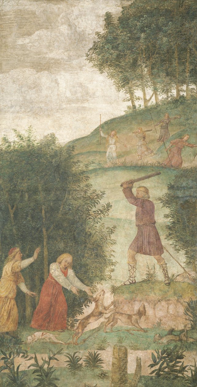 Céfalo castigado en la caza, c. 1520-1522 de Bernardino Luini