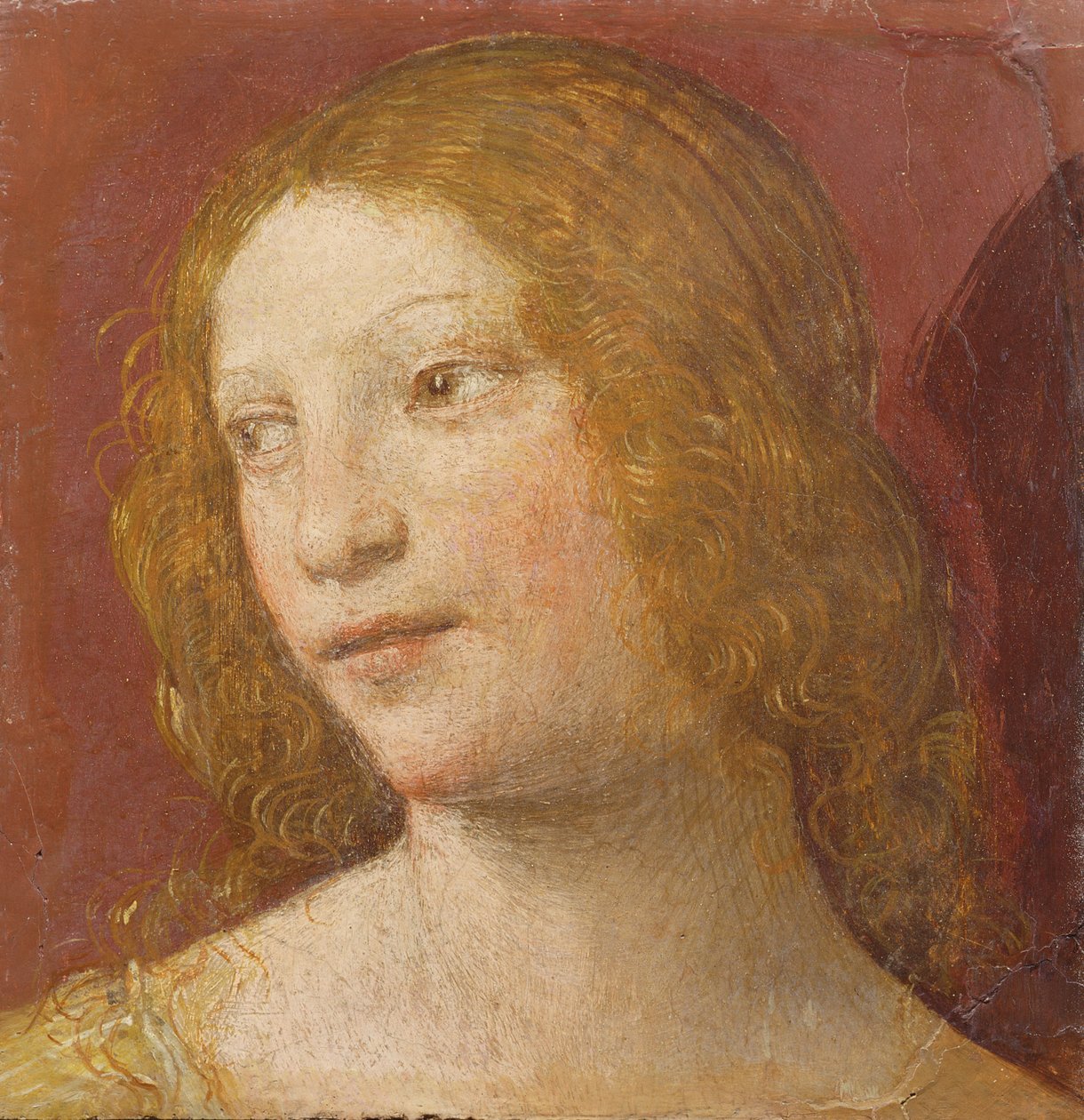 Cabeza de una joven de Bernardino Luini