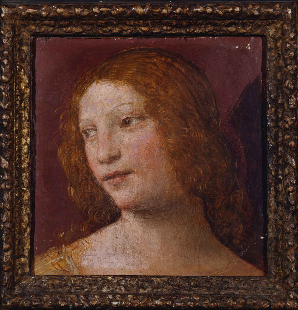 La cabeza de un ángel - un fragmento de Bernardino Luini