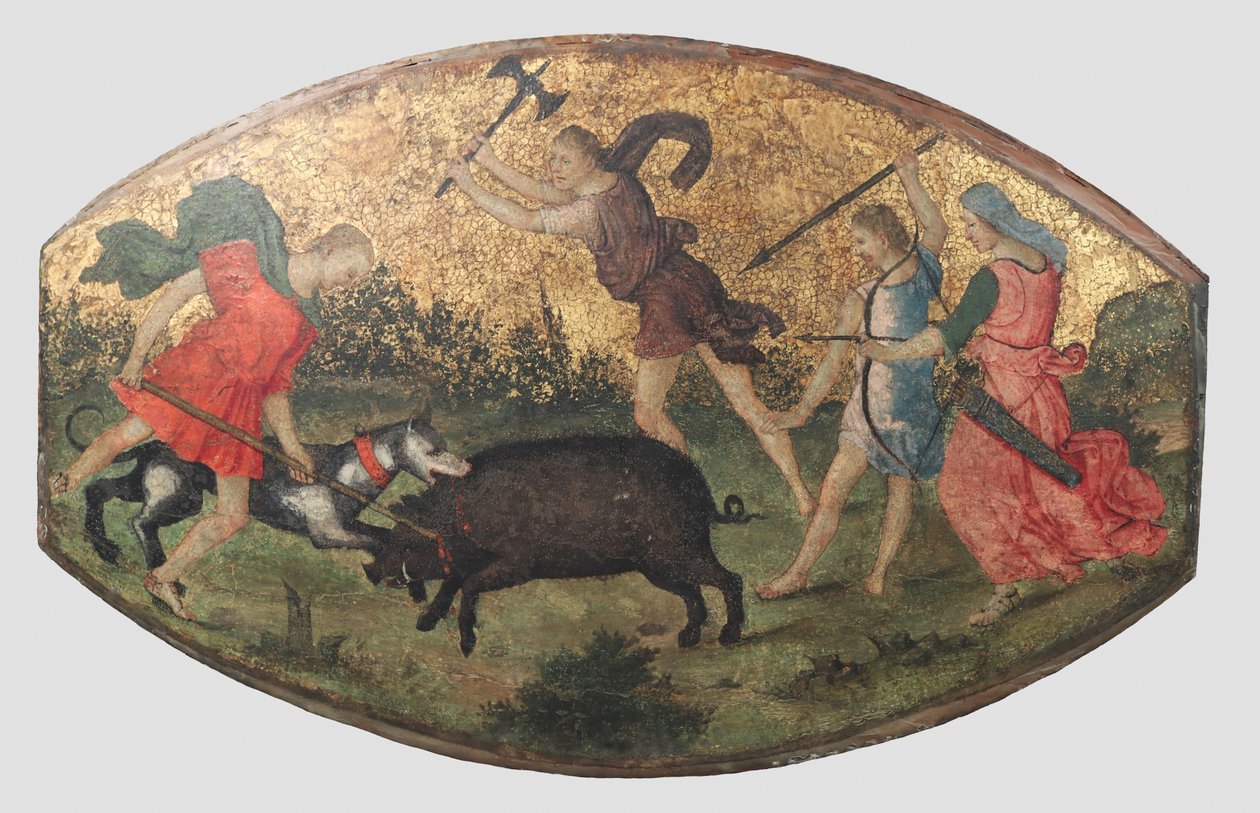Caza del Jabalí de Calidón, ca. 1509 de Bernardino Pinturicchio