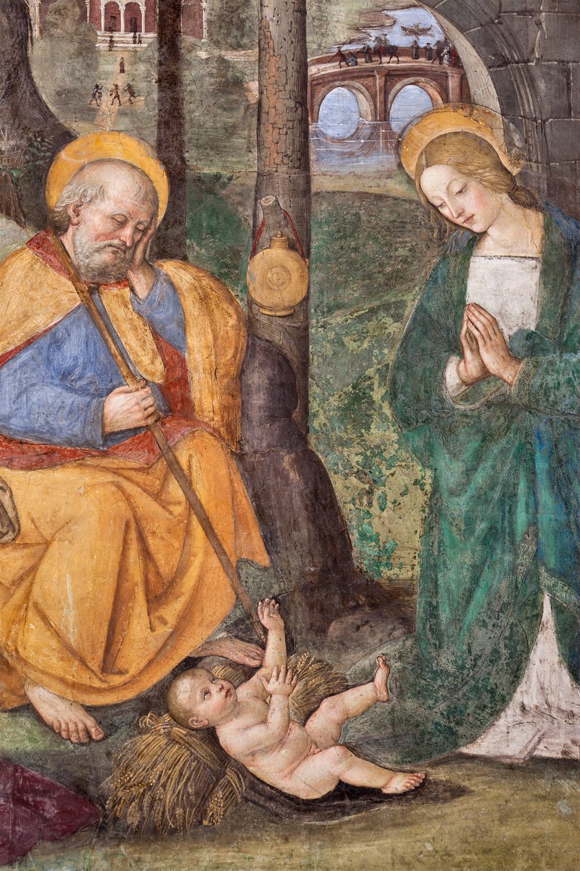 Adoración de los pastores (detalle) Fresco de Pinturicchio (Bernardino di Betto) (1454-1513) 1484-1492 (Iglesia de Santa Maria del Popolo), Basílica de Santa Maria del Popolo, Capilla Basso della Rovere, Roma, Italia de Bernardino di Betto Pinturicchio