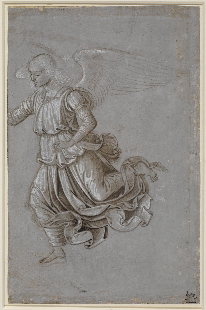 Estudio de un ángel volador de Bernardino di Betto Pinturicchio