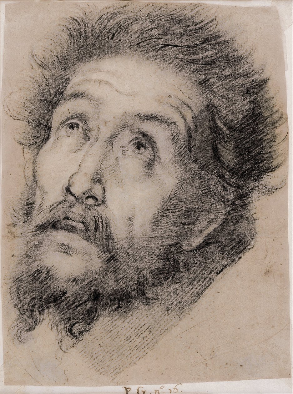 Estudio para San Francisco de Asís adorando la cruz de Bernardo Strozzi