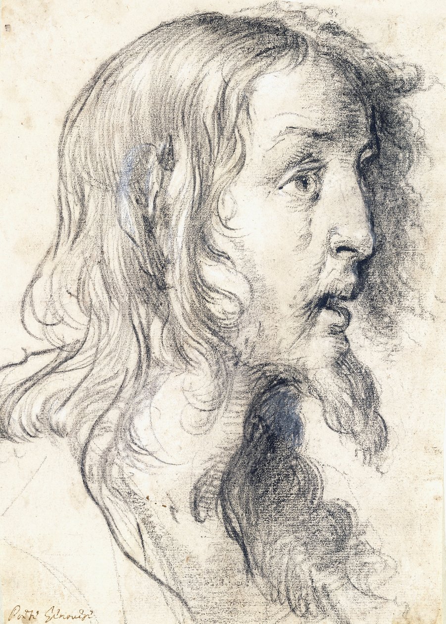 La cabeza de Cristo de perfil a la derecha de Bernardo Strozzi