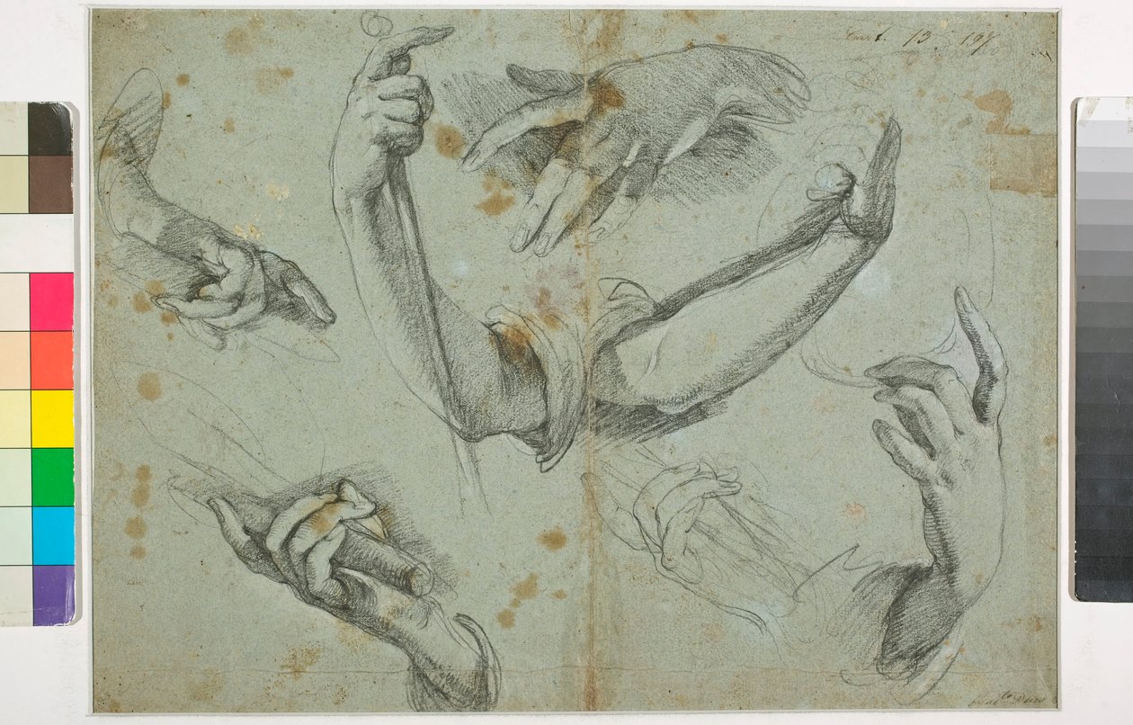 Imagen desconocida de Bernardo Strozzi