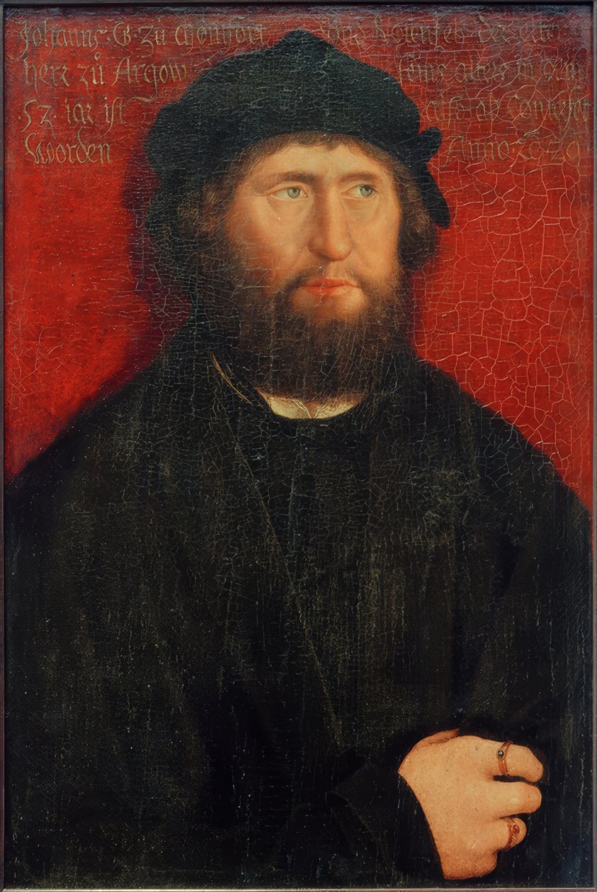 Retrato de Johann I, Conde de Montfort-Rothenfels de Bernhard Strigel