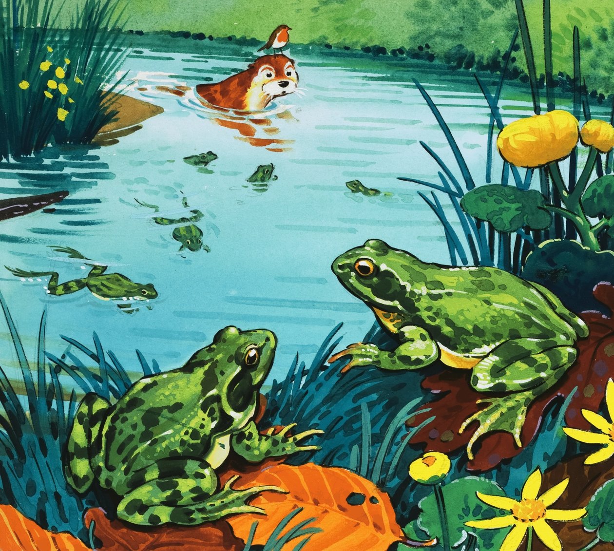 La nutria Fliptail de Bert Felstead