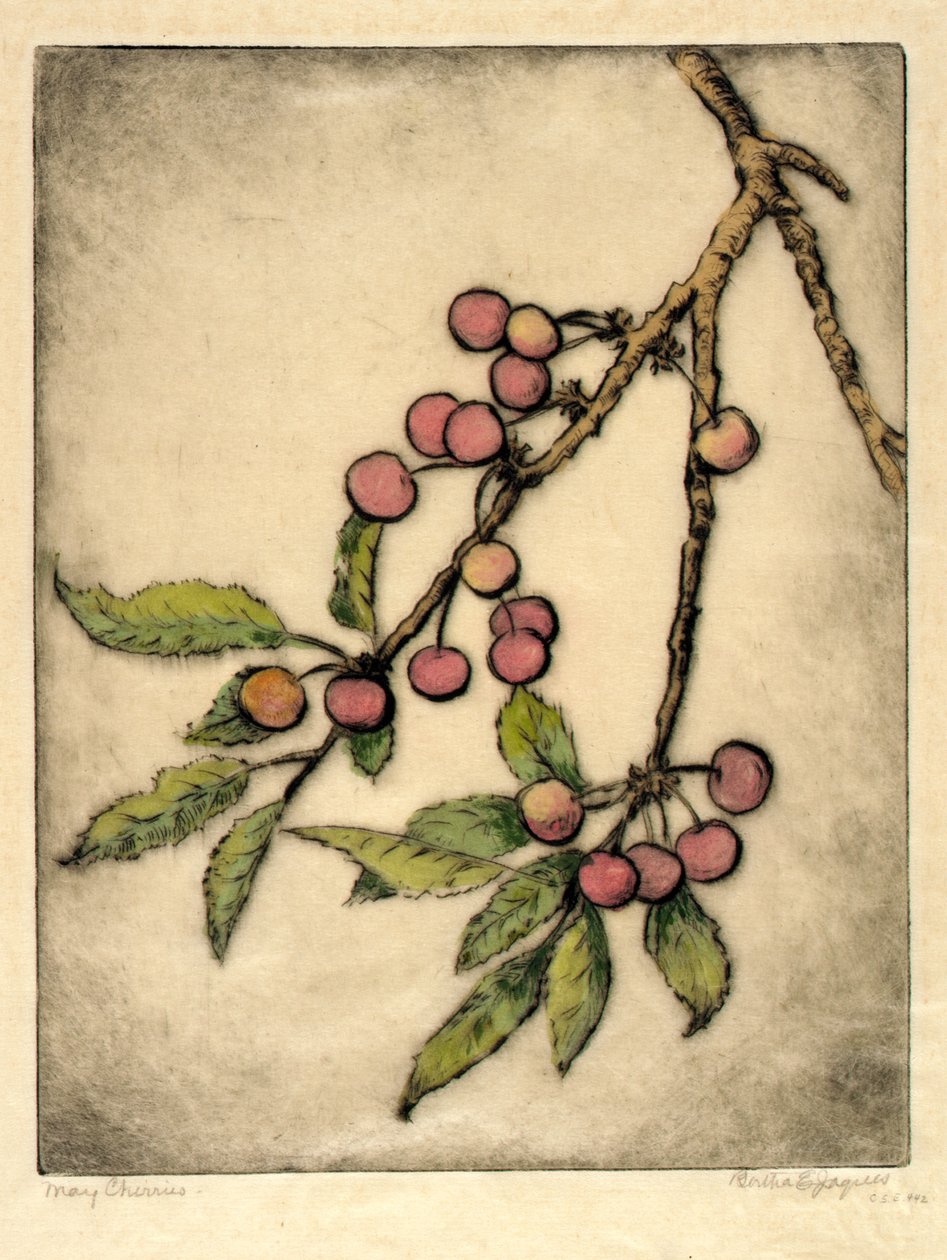 Cerezas de mayo de Bertha E. Jaques