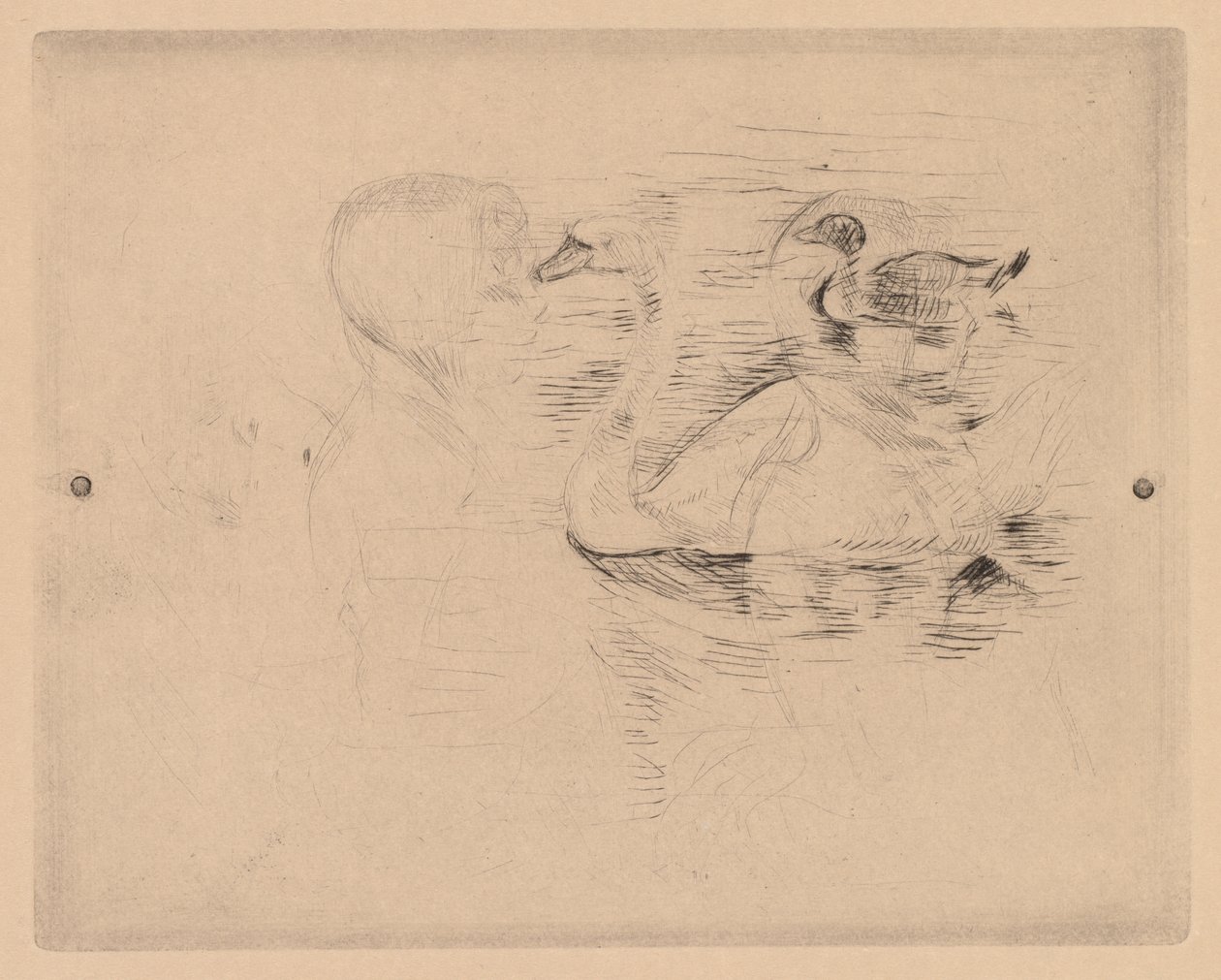 Cisne y pato, con retratos de Julie (Cygne et canard, avec portraits de Julie, o Cygne et canard, essai) de Berthe Morisot