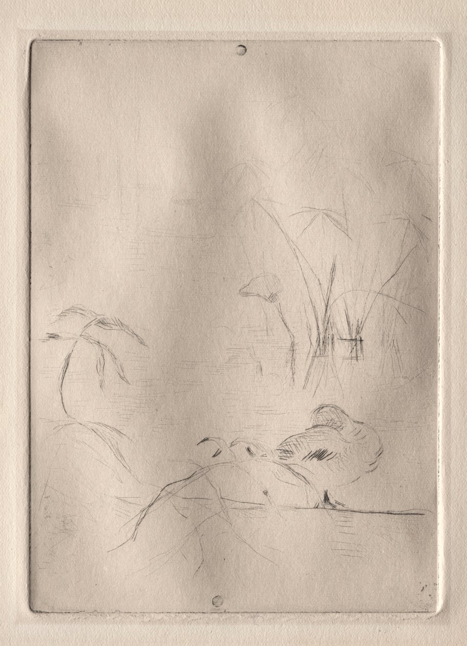 El Pato de Berthe Morisot