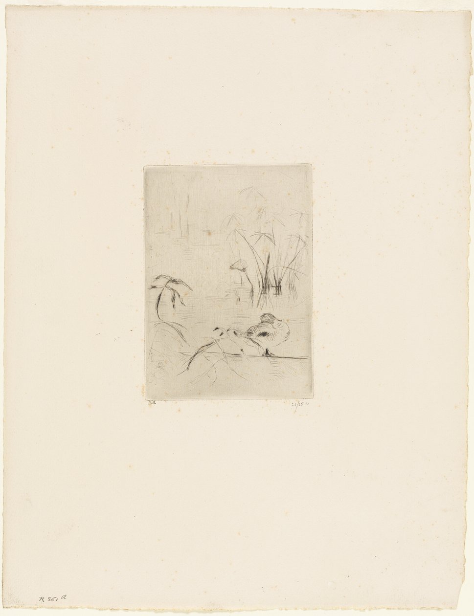 El Pato de Berthe Morisot