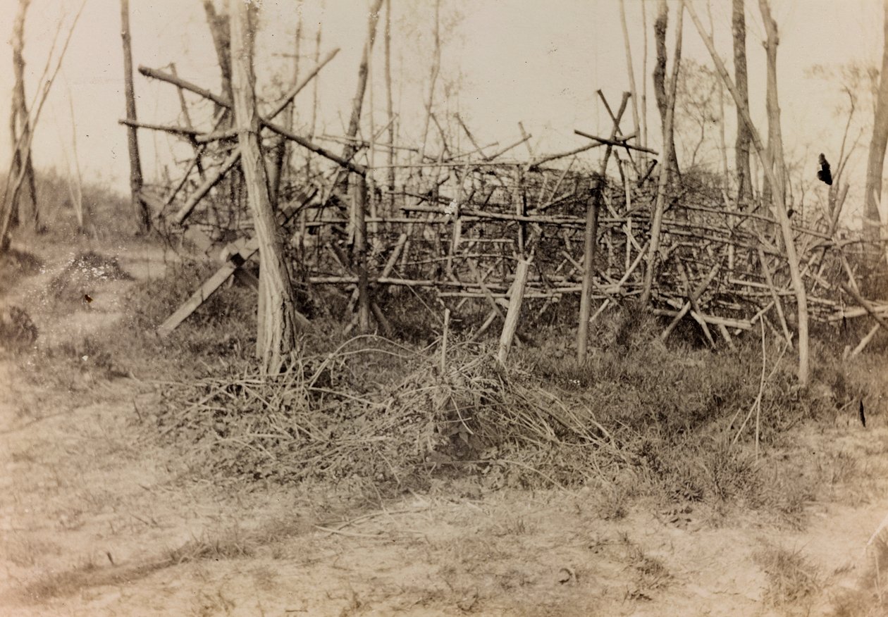 Álbum de la Primera Guerra Mundial en Friuli-Venecia Julia: obstáculo defensivo (cavalli di Frisia), 05/1916 (foto en b/n) de Bertoni Bertoni