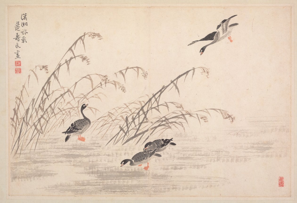 Album of Calligraphy and Paintings de Bian Shoumin