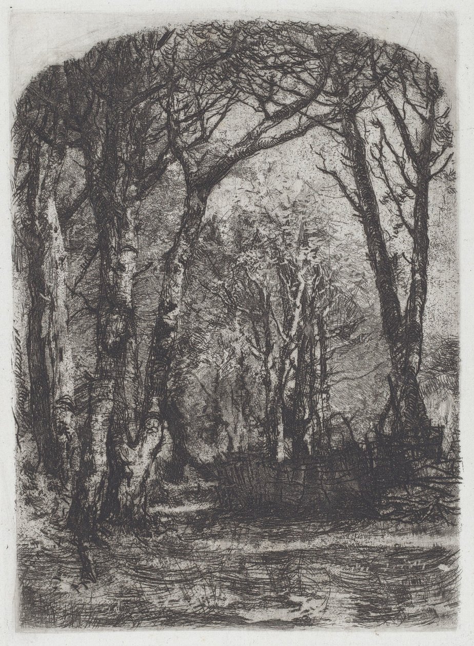 Bosque, c.1895 de Bianchi Mose