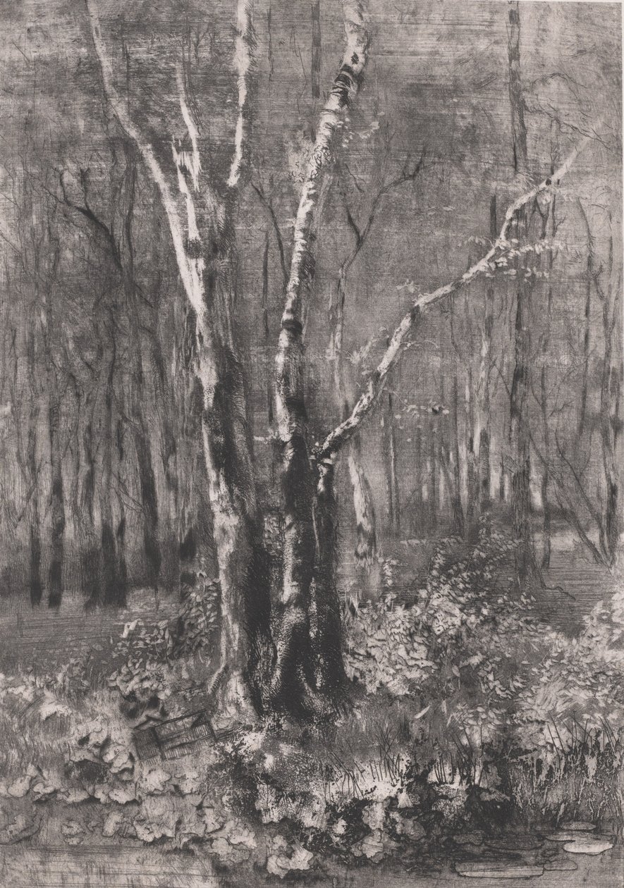 Bosques en el parque cerca de Monza, 1895 de Bianchi Mose