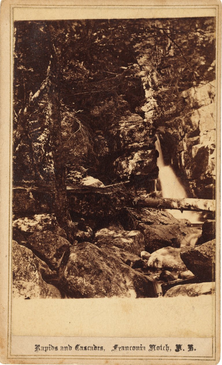 Rápidos y Cascadas, Franconia Notch, New Hampshire de Bierstadt Brothers
