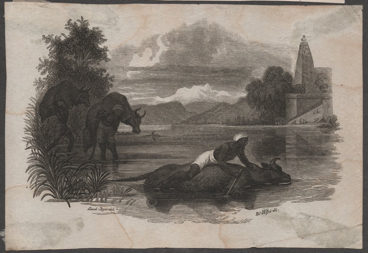 Granjeros llevan ganado muerto, hacia 1850 (grabado) de Blasius Höfel