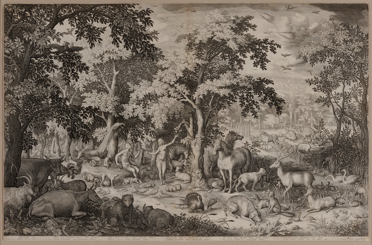 Adán y Eva en el Jardín del Edén rodeados de árboles y vida silvestre de Boetius Adams Bolswert