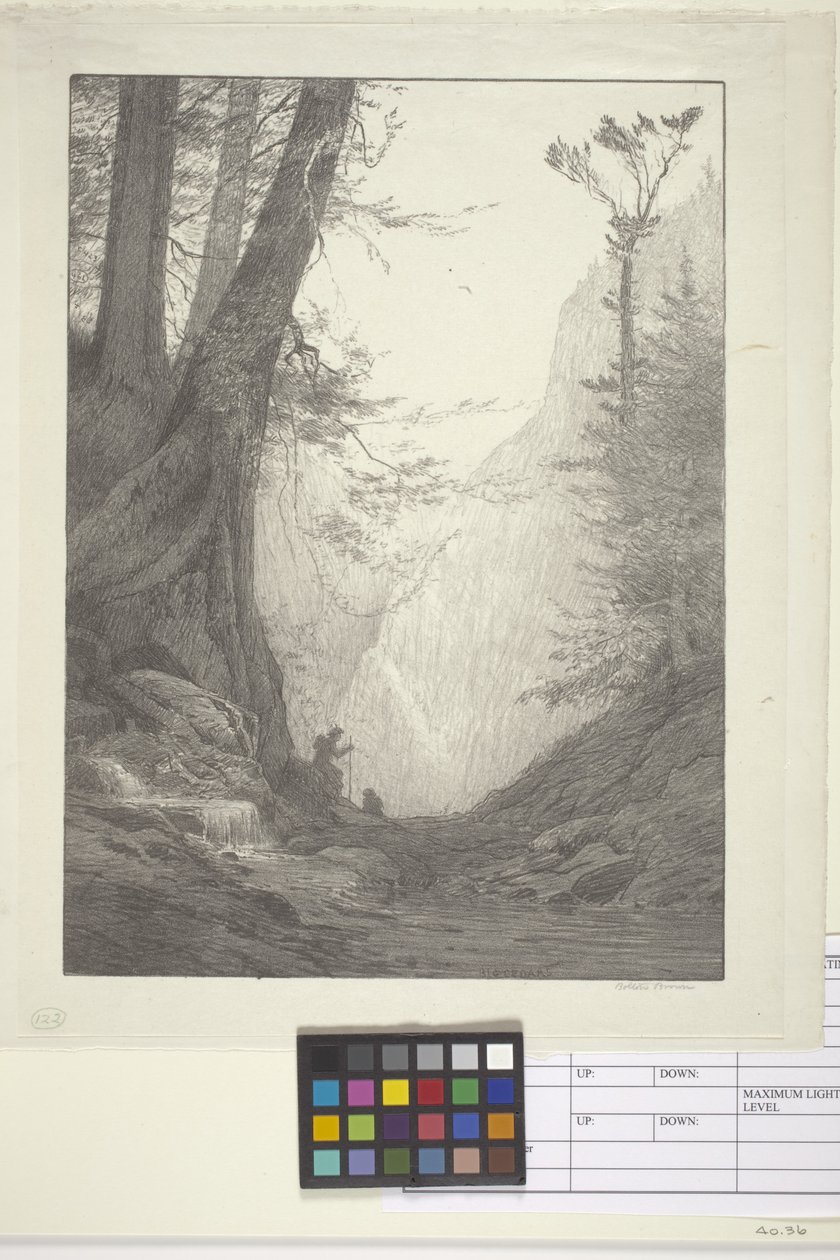 Big Cedars (tinta sobre papel, litografía) de Bolton Coit Brown