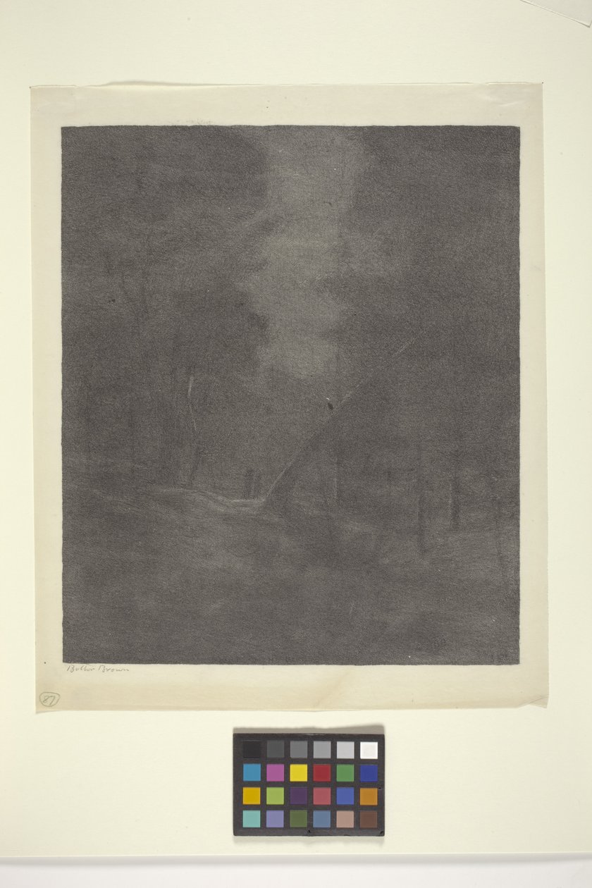 Moonlight Woods (tinta sobre papel) de Bolton Coit Brown