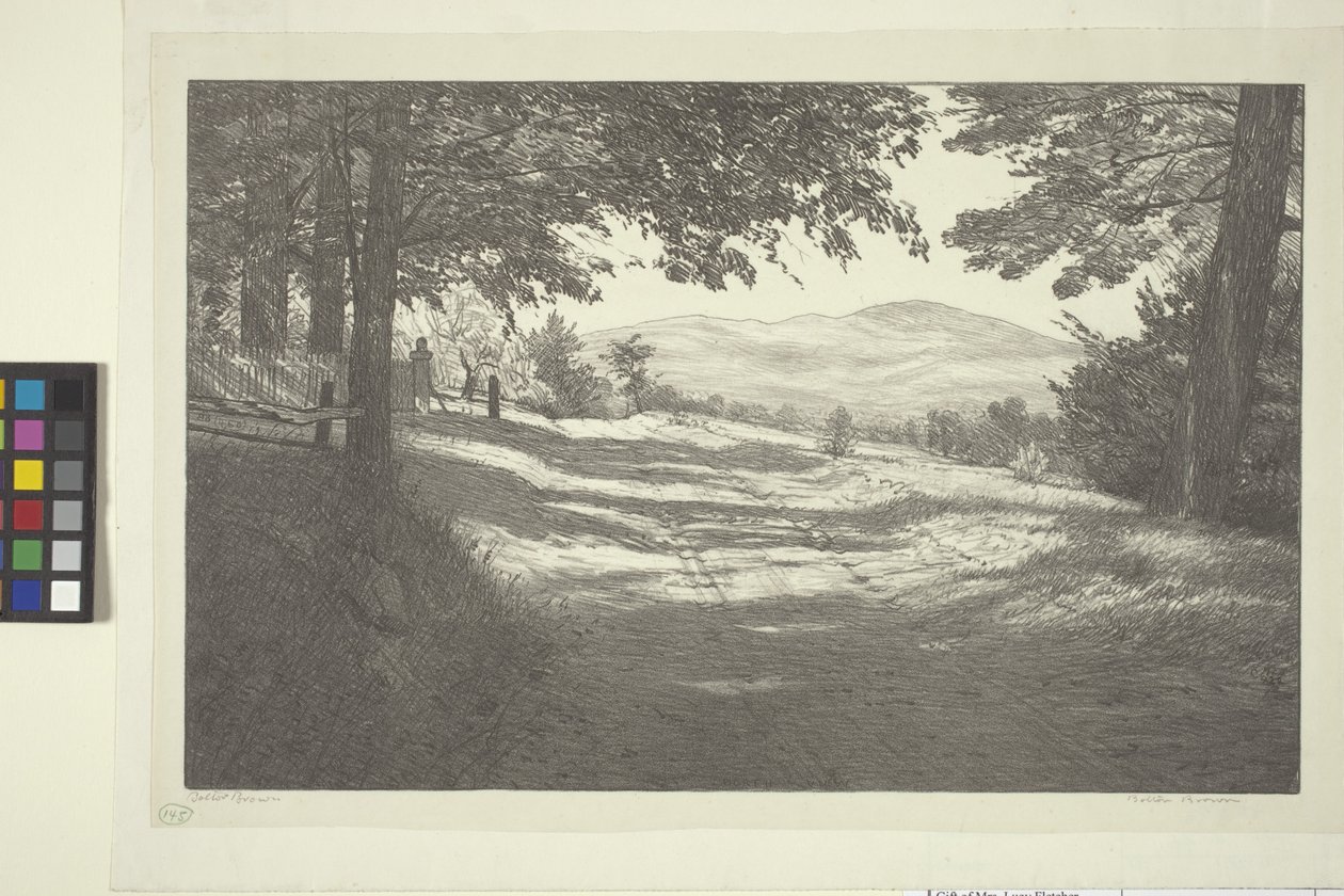 Vista norte (tinta sobre papel) de Bolton Coit Brown