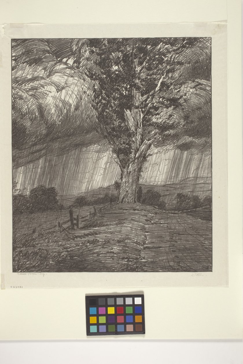 Tormenta (tinta sobre papel) de Bolton Coit Brown