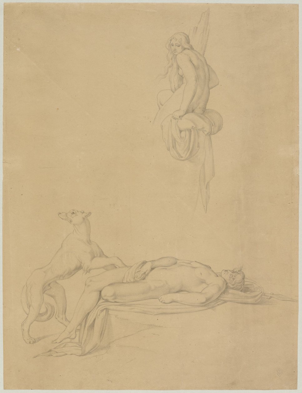 Estudios de acto en "Narciso y eco" de Ovidio de Bonaventura Genelli
