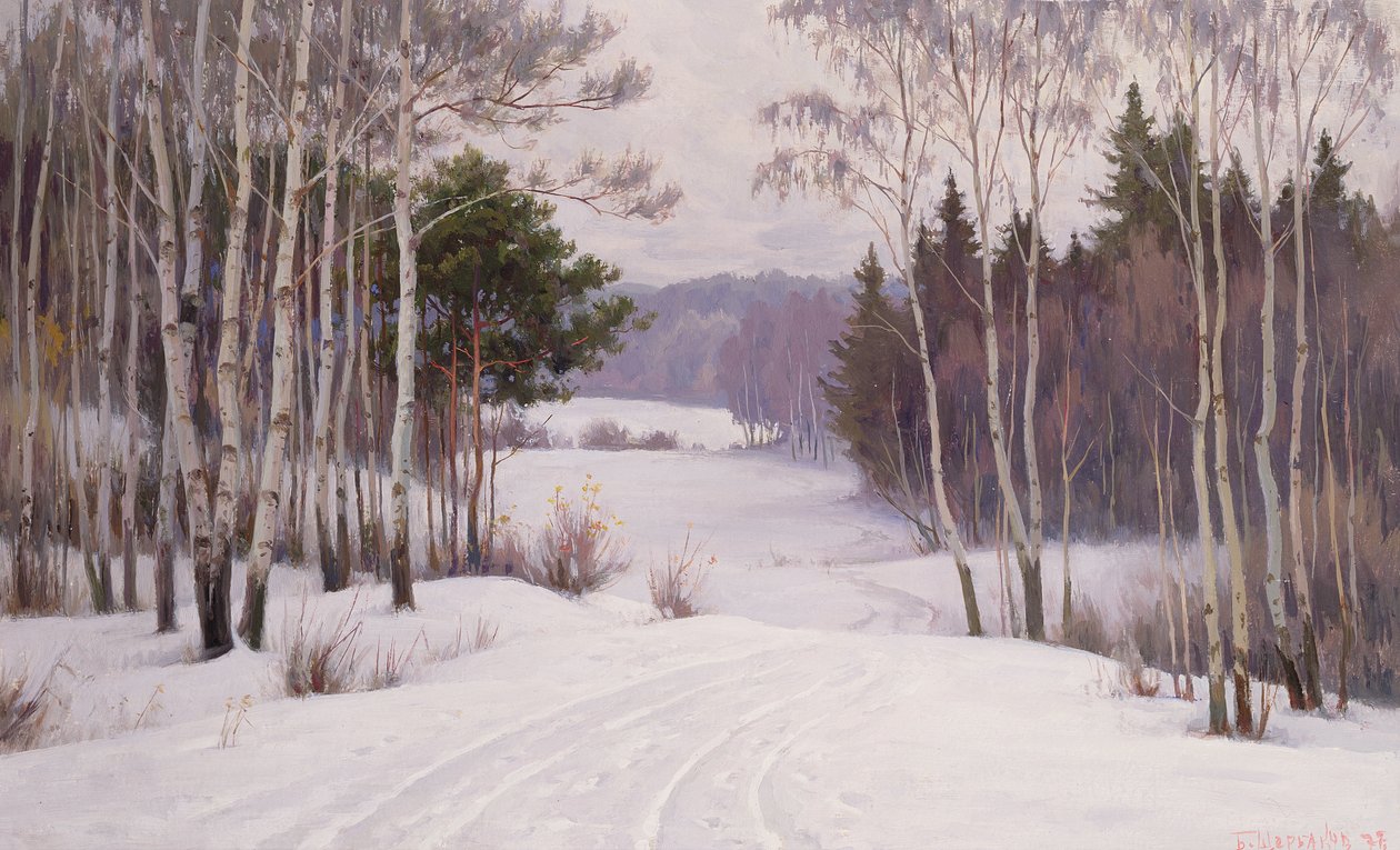 Sendero del bosque en invierno de Boris Walentinowitsch Scherkow