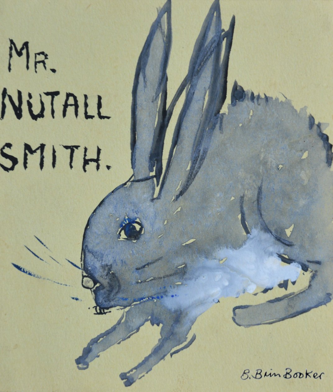 Un conejo llamado Sr. Nutall Smith de Brenda Brin Booker