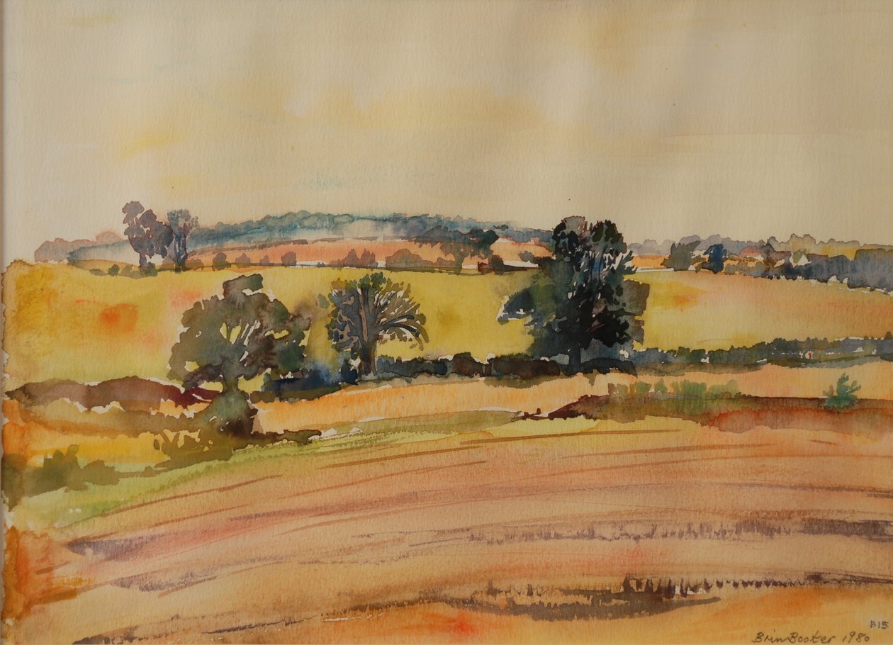 Paisaje de Suffolk, 1980 de Brenda Brin Booker
